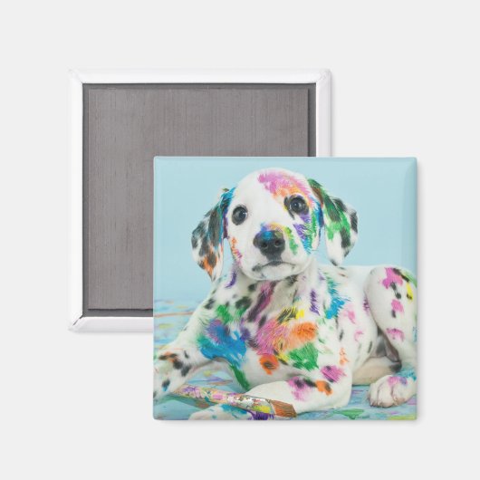 Dalmatiner Puppy Magnet (Vorderseite/Rückseite)