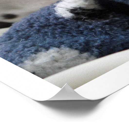 Dalmatiner Puppy Poster (Ecke)