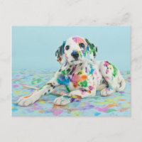 Dalmatiner Puppy