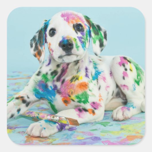 Dalmatiner Puppy Quadratischer Aufkleber (Vorderseite)