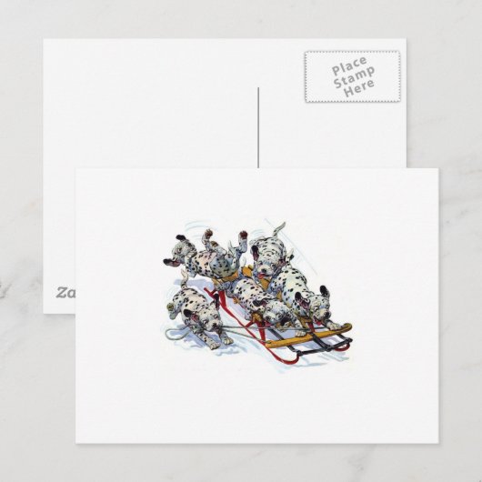 Dalmatiner-Pups Postkarte (Vorne/Hinten)