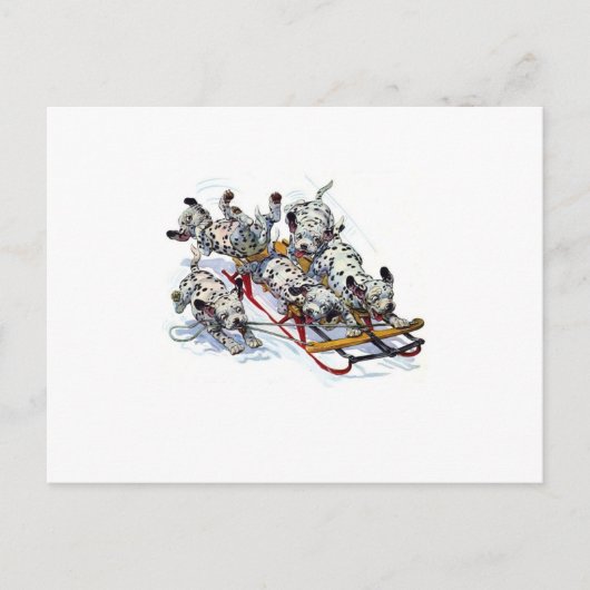 Dalmatiner-Pups Postkarte (Vorderseite)