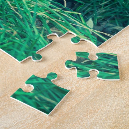 Dalmatiner Puzzle (Seite)