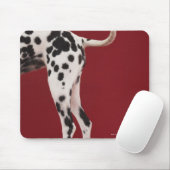 Dalmatiner Rear Mousepad (Mit Mouse)