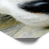 Dalmatiner-Restposter Poster (Ecke)