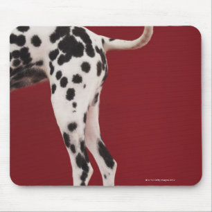 Dalmatiner-Rückseite Mousepad