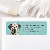 Dalmatiner-Rücksendeadresse (Insitu)