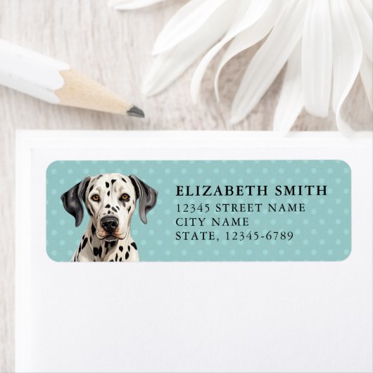 Dalmatiner-Rücksendeadresse (Insitu)