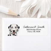 Dalmatiner Rücksendeadresse (Insitu)