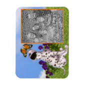 Dalmatiner Schmetterlingsbilder hinzufügen Foto hi Magnet (Vertikal)