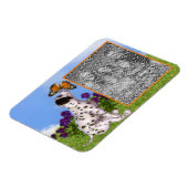 Dalmatiner Schmetterlingsbilder hinzufügen Foto hi Magnet (Linke Seite)