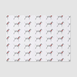 Dalmatiner Seidenpapier