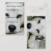 Dalmatiner-stillstehende Geschäfts-Karten Visitenkarte (Vorne/Hinten)