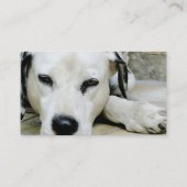 Dalmatiner-stillstehende Geschäfts-Karten Visitenkarte (Rückseite)