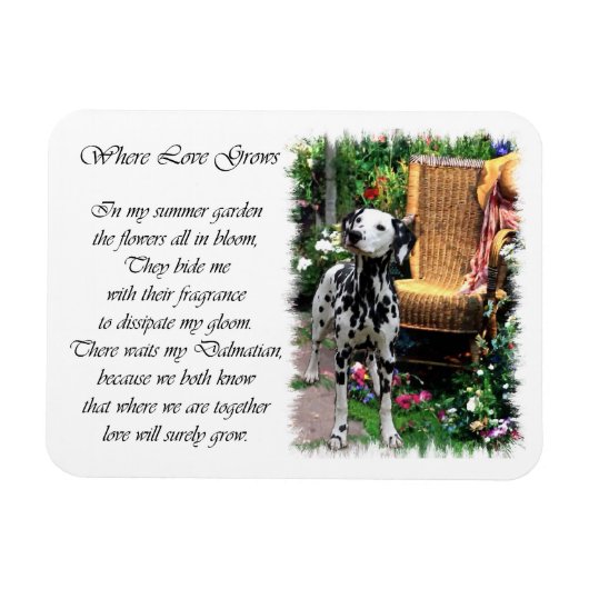 Dalmatiner Summer Garden Magnet (Horizontal)