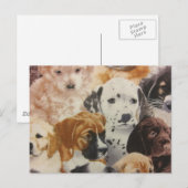Dalmatiner- und Boxerpuppen Postkarte (Vorne/Hinten)