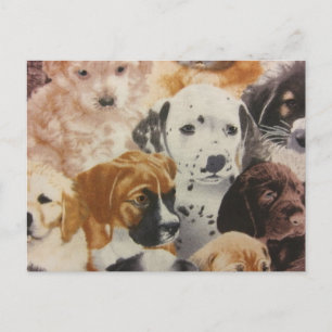 Dalmatiner- und Boxerpuppen Postkarte