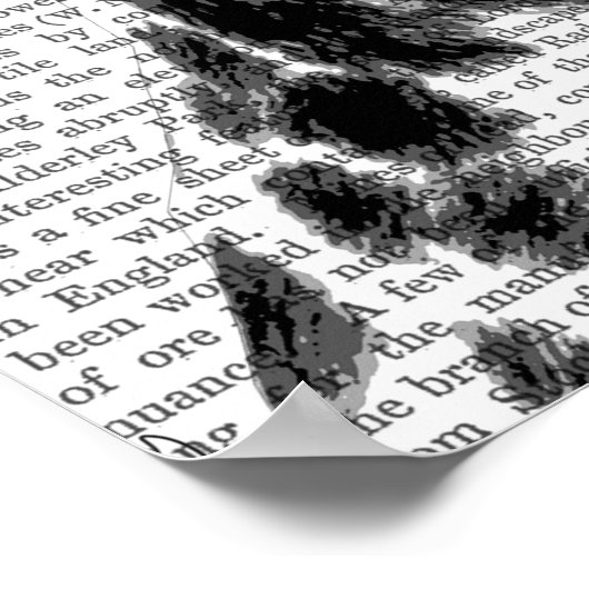 Dalmatiner und Brimmer Black Hat Poster (Ecke)