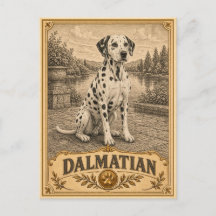 Dalmatiner, Vintage Heritage Hund
