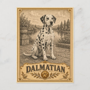 Dalmatiner, Vintage Heritage Hund Postkarte