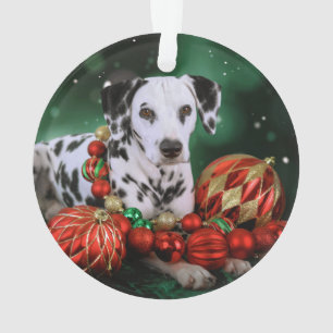 Dalmatiner Weihnachtsschmuck Ornament