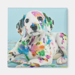Dalmatiner-Welpe Magnet