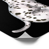 Dalmatiner Welpe riecht nach weißer Rose Poster (Ecke)