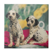 Dalmatiner-Welpen Fliese (Vorderseite)