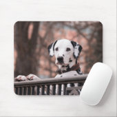 Dalmatiner, Welpen, Haustiere Mousepad (Mit Mouse)