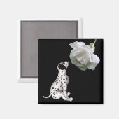 Dalmatiner Welpen und Weißrosen Magnet (Vorderseite/Rückseite)