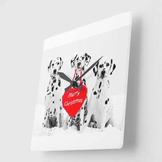 Dalmatiner wünschen frohe Weihnachtsmauer Quadratische Wanduhr (Winkel)