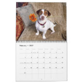 DalmatinerAbdeckung, Puppies2010 Kalender (Feb 2027)