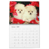 DalmatinerAbdeckung, Puppies2010 Kalender (Jan 2027)