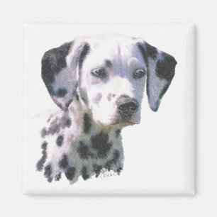 Dalmatinischer Welpe Magnet