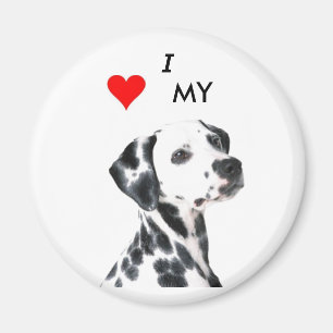 dalmation1, VBRSMCA27ZNVGCAQG0F1BCAMZLQ8CCA0X9H… Magnet
