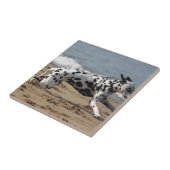 Dalmation Fliese (Seite)