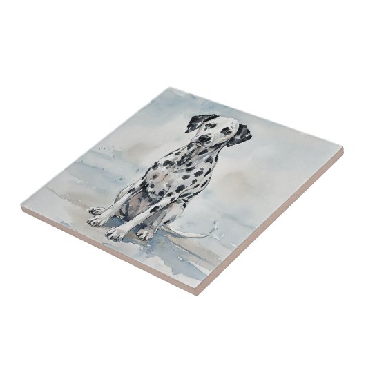 Dalmation Fliese (Seite)