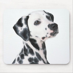 Dalmation Mousepad