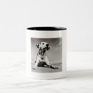 Dalmation Welpe Zweifarbige Tasse