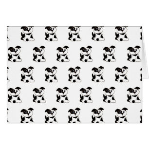 Dalmations