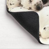 Dalmations Mousepad (Ecke)