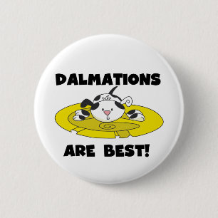 Dalmations sind beste T - Shirts und Geschenke Button