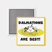 Dalmations sind beste T - Shirts und Geschenke Magnet (Vorderseite/Rückseite)