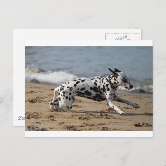 Dalmierung Postkarte (Vorne/Hinten)