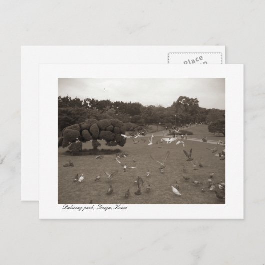 Dalseong Park, Daegu, Südkorea Postcard Postkarte (Vorne/Hinten)