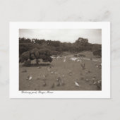 Dalseong Park, Daegu, Südkorea Postcard Postkarte (Vorderseite)