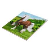 ‚Dalton‘ Fliese (Seite)