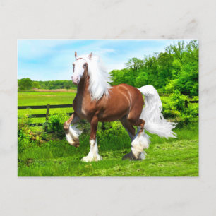 ‚Dalton‘  Postkarte