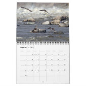Dam Eagles Kalender (Feb 2027)