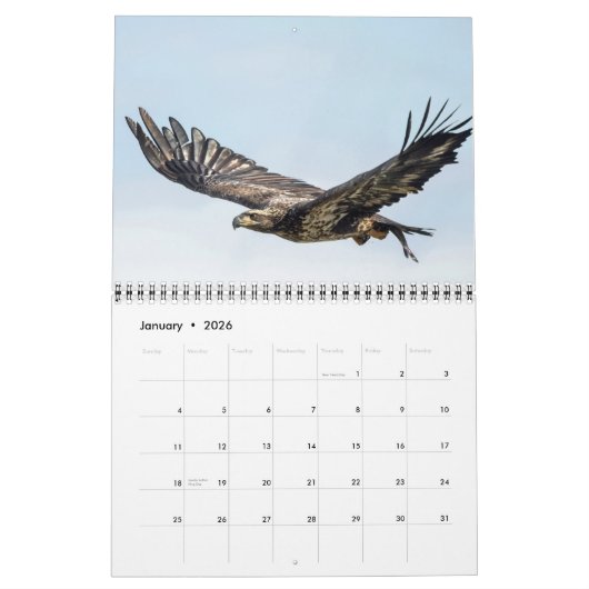 Dam Eagles Kalender (Jan 2026)